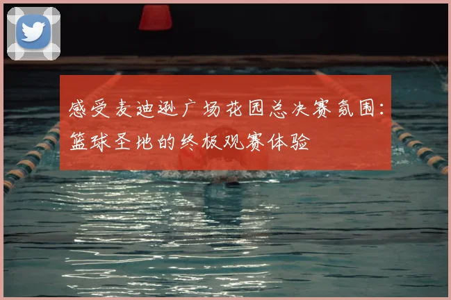 感受麦迪逊广场花园总决赛氛围:篮球圣地的终极观赛体验